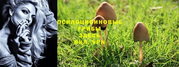 крисы Абинск