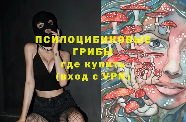 jwh Абаза