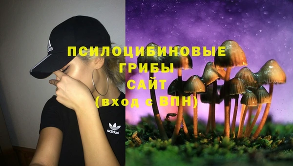 дмт Алзамай