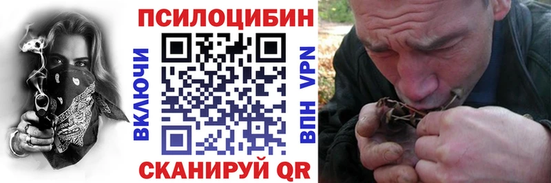 ОМГ ОМГ tor  Рославль  Галлюциногенные грибы GOLDEN TEACHER 